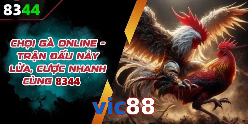 Đá gà vic88 có rất nhiều ưu điểm vượt trội so với sân chơi khác