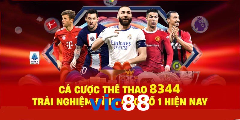 Đá Gà Philippines – Tinh Hoa Truyền Thống Và Thể Thao 